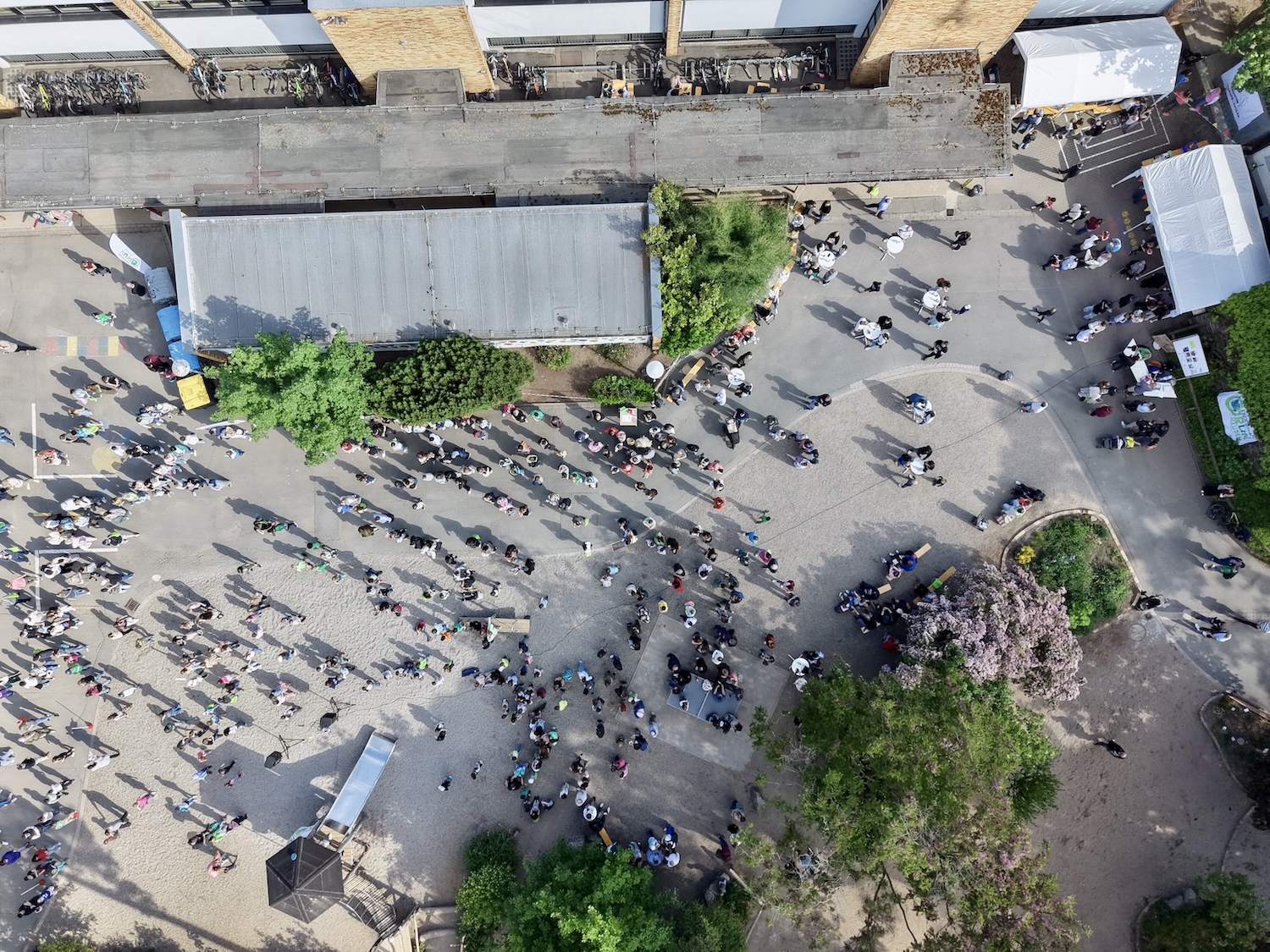 dji fly 20260508 165132 0150 1778252041776 photo
